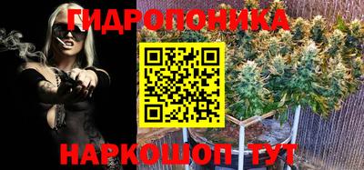 СК Бугуруслан