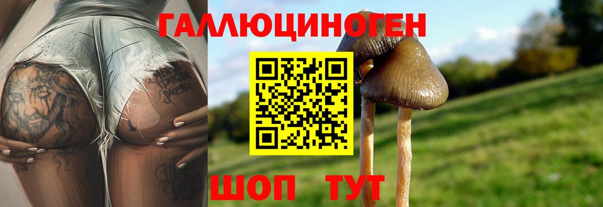 Псилоцибиновые грибы Magic Shrooms  Вход с VPN  Псилоцибиновые грибы Psilocybe  Нарьян-Мар 