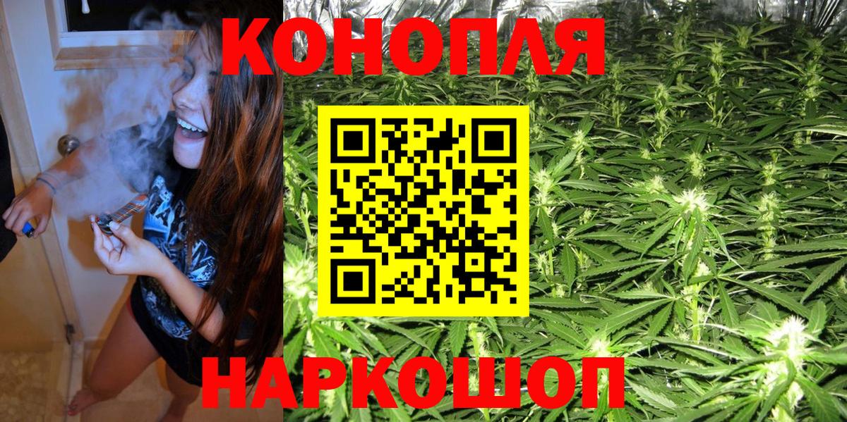 Бошки Шишки гибрид  Бошки Шишки планчик  Шишки марихуана конопля  Вход с VPN  Конопля MAZAR  Нарьян-Мар 